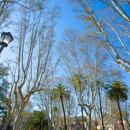 나폴레옹 4* 로마